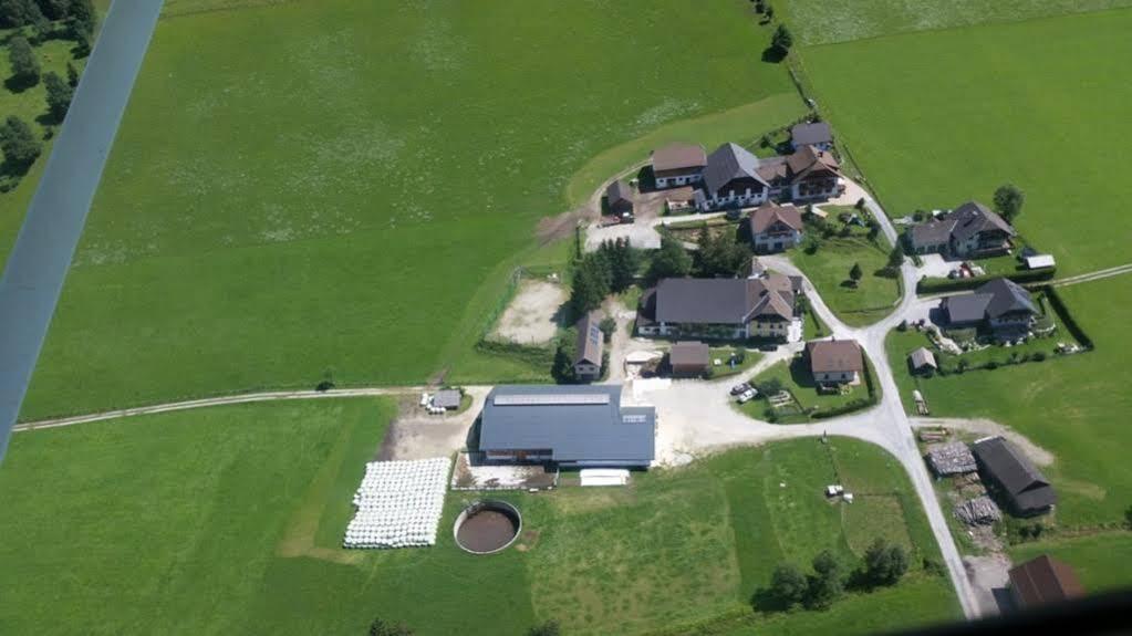 Hansalagut Vakantieboerderij *