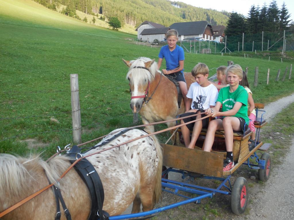 Farm stay Hansalagut Mauterndorf (Salzburg)