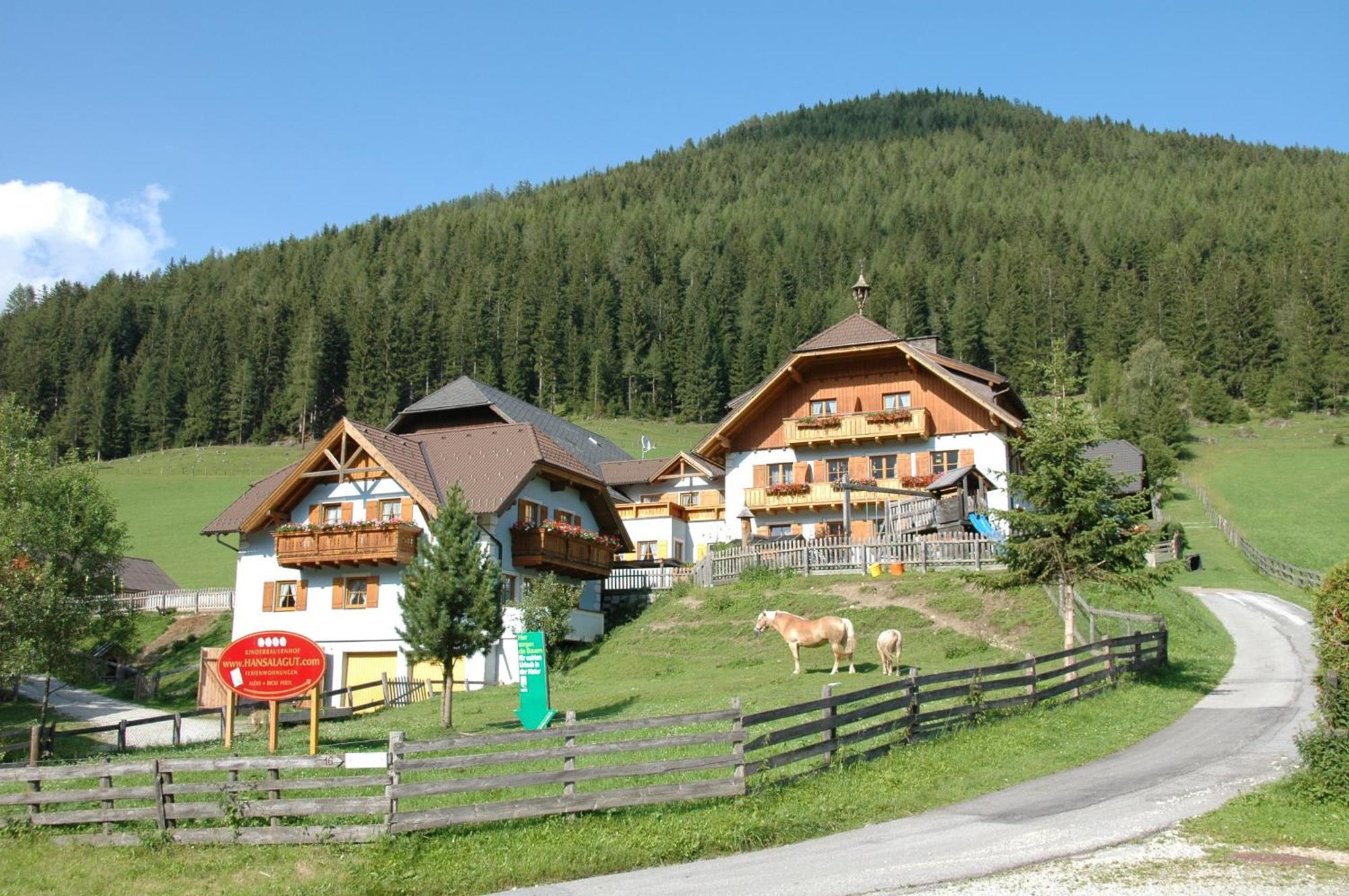 Hansalagut Farm stay Mauterndorf (Salzburg)