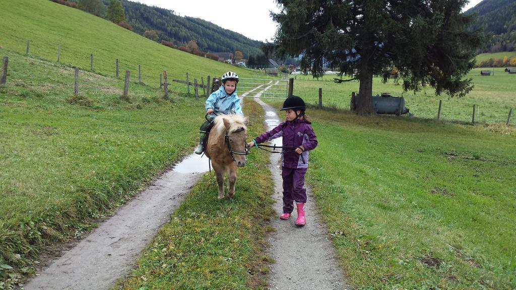 Farm stay Hansalagut Mauterndorf (Salzburg)
