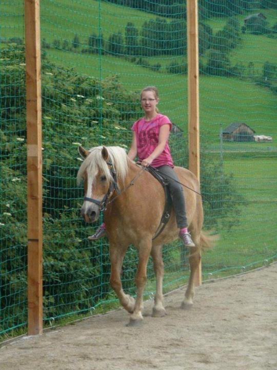 Farm stay Hansalagut Mauterndorf (Salzburg)