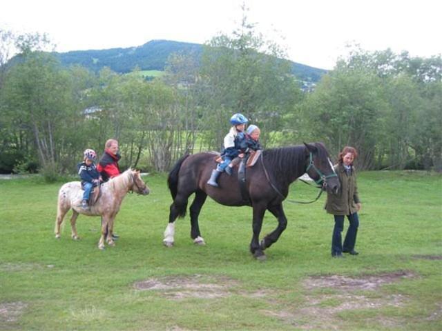 Hansalagut Farm stay *
