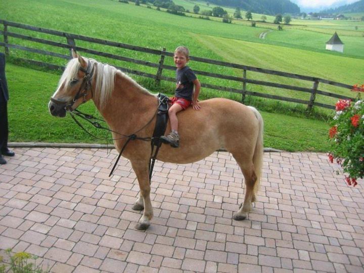 Hansalagut Vakantieboerderij *
