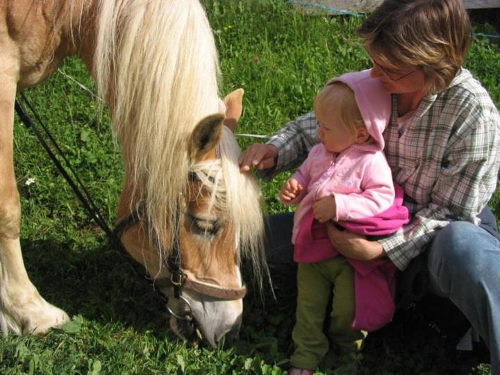 Farm stay Hansalagut Mauterndorf (Salzburg)